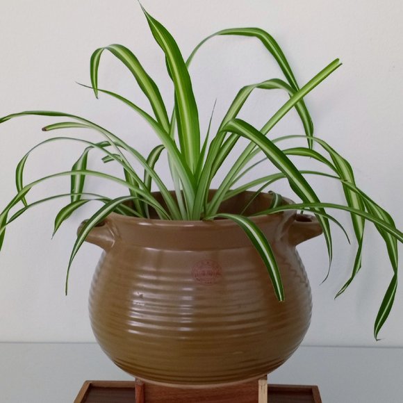 Ceramic Rippled Pot - Picture 9 of 9